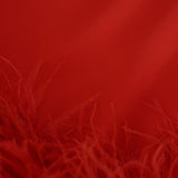 GABRIELLE IN PEDRO RED
