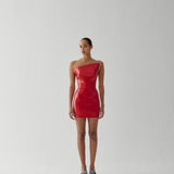 FUJI MINI DRESS IN ÉGOÏSTE