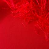 GABRIELLE IN PEDRO RED