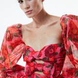 MIUCCIA IN ROSE SALVAJE