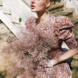 SIENA IN ODE TO SUMMER
